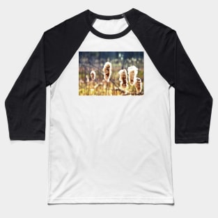 "Puffy Cattails" Baseball T-Shirt